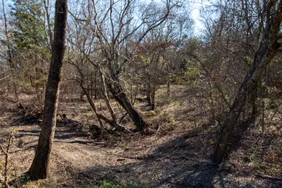 Lot 5 County Road 2905, Dodd City, TX 75438 - Photo 5