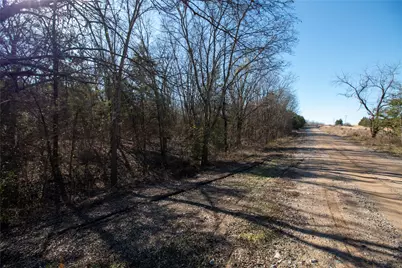 Lot 7 County Road 2905, Dodd City, TX 75438 - Photo 3
