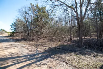 Lot 1 County Road 2905, Dodd City, TX 75438 - Photo 7