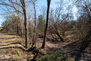 Lot 3 County Road 2905, Dodd City, TX 75438 - Photo 1