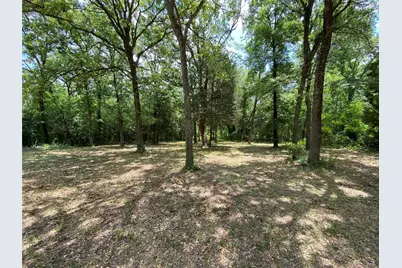 136 Buffalo Springs Road, Mabank, TX 75156 - Photo 7