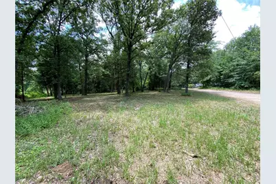 136 Buffalo Springs Road, Mabank, TX 75156 - Photo 9