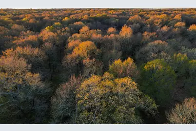 000 Tx-19, Emory, TX 75117 - Photo 5