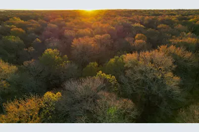 000 Tx-19, Emory, TX 75117 - Photo 7