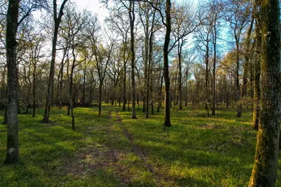 000 Tx-19, Emory, TX 75117 - Photo 23