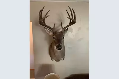 000 Tx-19, Emory, TX 75117 - Photo 27