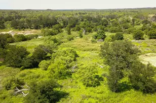 410 Co Rd 433, Mullin, TX 76864 - Photo 7