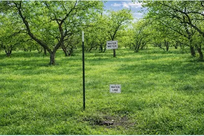 194 Lcr 614, Groesbeck, TX 76642 - Photo 3