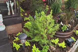 2340 North Chandler Dr E, Fort Worth, TX 76111 - Photo 25