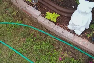 2340 North Chandler Dr E, Fort Worth, TX 76111 - Photo 21