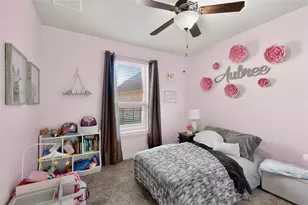 3443 Abes Landing Dr, Granbury, TX 76049 - Photo 17