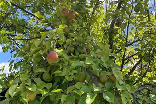 208 W 7th Street W, Weatherford, TX 76086 - Photo 19