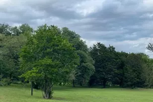 208 W 7th Street W, Weatherford, TX 76086 - Photo 23