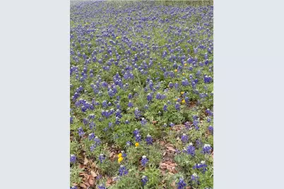 208 W 7th Street W, Weatherford, TX 76086 - Photo 15