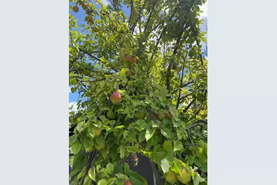 208 W 7th Street W, Weatherford, TX 76086 - Photo 19