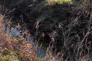 1325 Co Rd 319, Terrell, TX 75161 - Photo 27