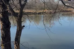 1325 Co Rd 319, Terrell, TX 75161 - Photo 7