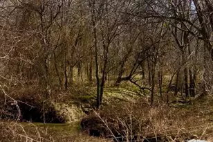 1325 Co Rd 319, Terrell, TX 75161 - Photo 31