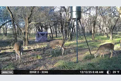 200 Patterson Lane, Palo Pinto, TX 76484 - Photo 21