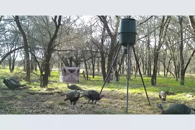 200 Patterson Lane, Palo Pinto, TX 76484 - Photo 23