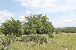 1102 Bluffview Ct, Glen Rose, TX 76043 - Photo 19