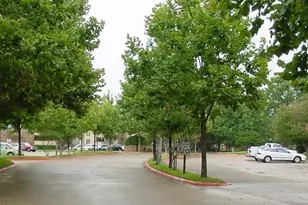 1200 Calico Ln, Arlington, TX 76011 - Photo 37