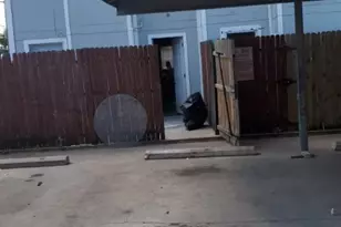 7512 Chapin Rd, Fort Worth, TX 76116 - Photo 23