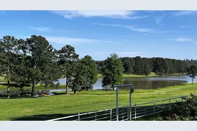 11786 County Road 4401, LaRue, TX 75770 - Photo 1