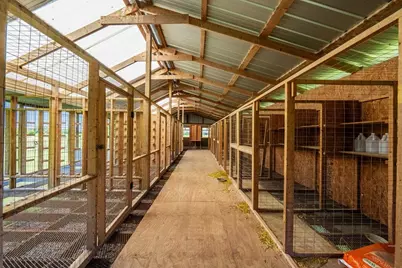 11786 County Road 4401, LaRue, TX 75770 - Photo 35