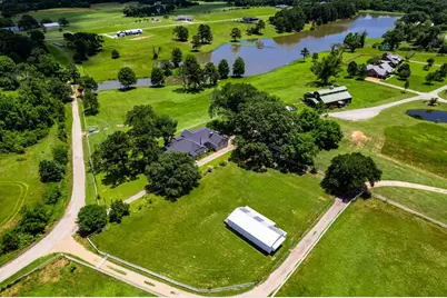 11786 County Road 4401, LaRue, TX 75770 - Photo 9