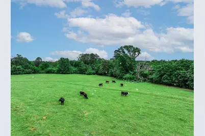 3732 US Highway 84, Palestine, TX 75801 - Photo 25