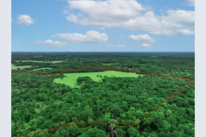 3732 US Highway 84, Palestine, TX 75801 - Photo 11