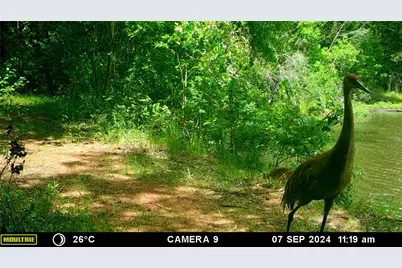 3732 US Highway 84, Palestine, TX 75801 - Photo 39