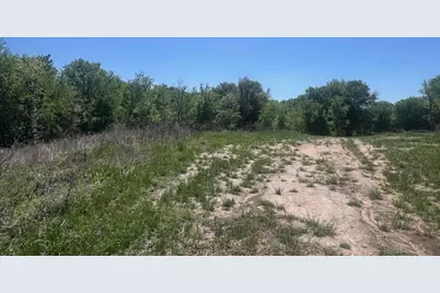 1004 Bermes Court, Brock, TX 76087 - Photo 3