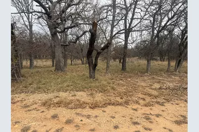 Tbd Tamarack Drive, May, TX 76857 - Photo 5