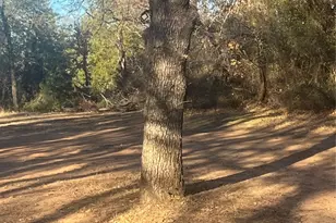 6901 Hawk Road, Flower Mound, TX 75022 - Photo 15