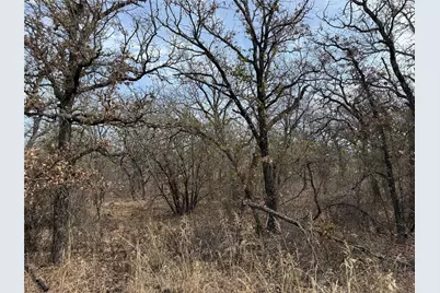 0 Lindsey Lane, Runaway Bay, TX 76426 - Photo 5