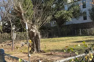 3930 N Cresthaven Rd, Dallas, TX 75209 - Photo 5