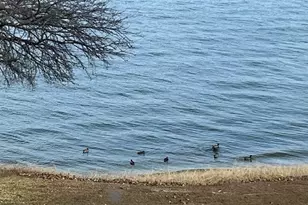 9961 Waterfront Trail, Rowlett, TX 75087 - Photo 23