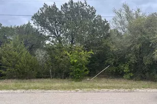 44028 Fringewood Dr, Whitney, TX 76692 - Photo 1