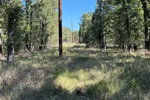 15801 Maple Ln, Malakoff, TX 75148 - Photo 15