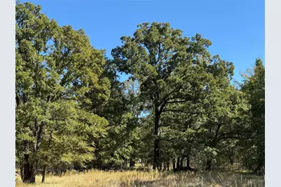 15801 Maple Lane, Malakoff, TX 75148 - Photo 13
