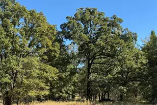 15801 Maple Ln, Malakoff, TX 75148 - Photo 13