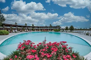 509 Gannet Trl, Argyle, TX 76226 - Photo 33