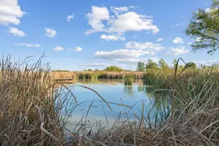 1341 Maxwell Rd, Haslet, TX 76052 - Photo 3