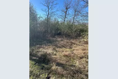 Tbd Eastman, Ladonia, TX 75449 - Photo 3