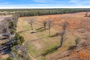 1700 FM1995, Van, TX 75790 - Photo 15