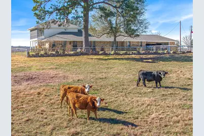 1700 Fm 1995, Van, TX 75790 - Photo 1