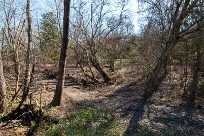 Lot4 County Road 2905, Dodd City, TX 75438 - Photo 5