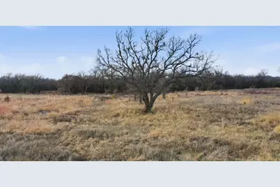 633 N Stallion Meadows Drive, Perrin, TX 76486 - Photo 3